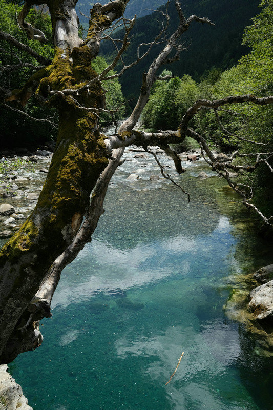 實驗室重金屬鉻測定儀